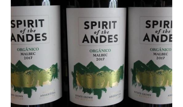 10 flessen à 75cl rode wijn, Spirit of the Andes, 2017